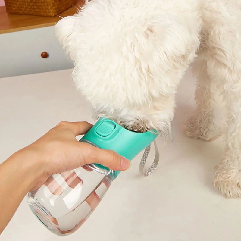 Pet Portable Big Dog Water Bot - Camping Cooking Bowl review and price